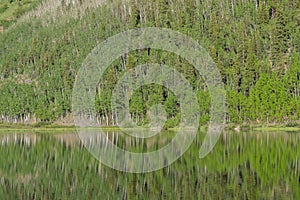Colorado Wilderness Lake Reflection