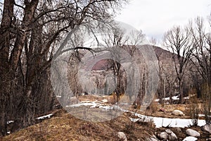 Colorado Wilderness