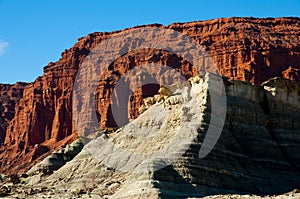 Colorados Formation