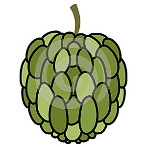 Colored anon fruit icon Vector