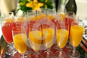 Colored aperitifs in glass glasses