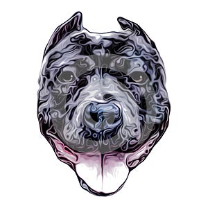 Colored artistic bulldog on white background