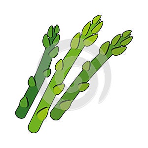 A colored asparagus icon with a black outline. Delicious and healthy asparagus. Vegetarianism.