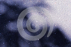 Colored asphalt surface with the shadow of tree branches. Abstract background