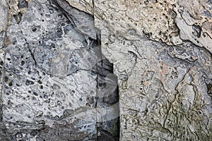 Colored Beach Rock with Erosion Patterns