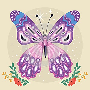 Colored beauty butterfly Cute insect Vector