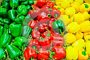 Colored bell pepper paprika