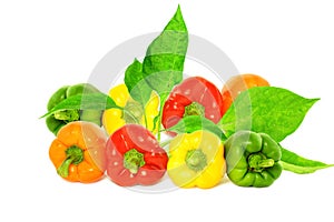 Colored bell peppers on white background
