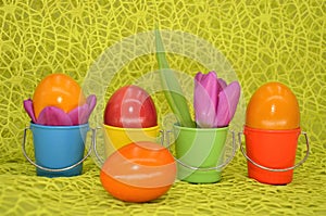 Colored bird eggs scenery