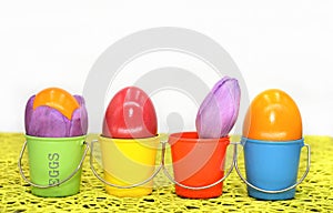 Colored bird eggs scenery