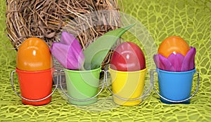 Colored bird eggs scenery