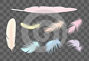 Colored Transparent Feathers Set