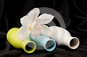 Colored Bottles with White Orchid
