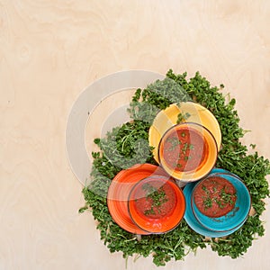 Colored bowls with tomato gazpacho soup among the greenery