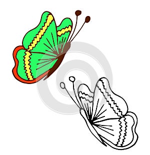 Colored butterflies and hand-drawn coloring pattern. Vector doodle outlined