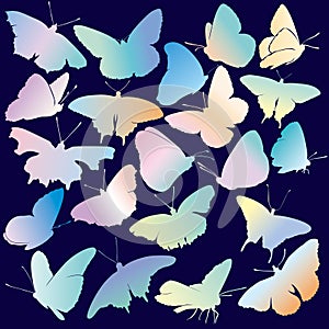 Colored Butterfly Silhouette Set