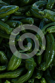 Colored Chillies Background, Selective focus. Close up.