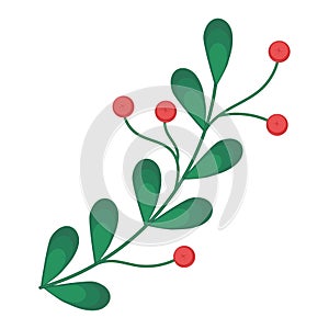 Colored christmas holly leaf sketch icon Vector