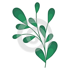 Colored christmas holly leaf sketch icon Vector