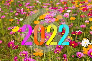 Colored cosmos flowers for new year 2022 greetings