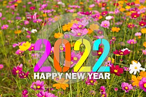 Colored cosmos flowers for new year 2022 greetings