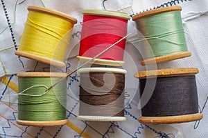 Colored Cottons and Sewing Needle