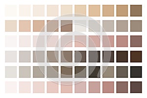 Colored cream background. Palette of skin samples. Light vector face care makeup texture. Cells with a tan tone