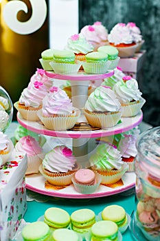 Colored cupcakes. Muffins with cream. Colorful macarons