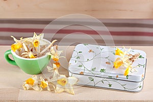 Colored cups with a boxÑand daffodils vintage retro