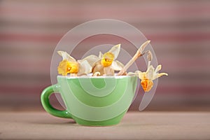 Colored cups with a and daffodils vintage retro