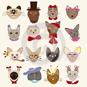 Colored Cute Cats Heads Set