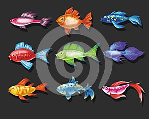 Colored cute sea fish. Vector cartoon set of freshwater aquarium characters isolated on black background. Varieties of decorative