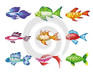 Colored cute sea fish. Vector cartoon set of freshwater aquarium characters isolated on white background. Varieties of decorative