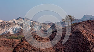 Colored desert mountains with tree on the top