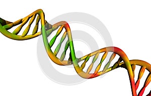 Colored double helix