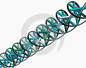 Colored double helix