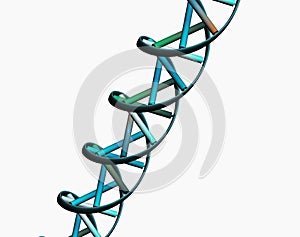 Colored double helix