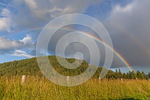 Colored double rainbow over the mountain with green pines