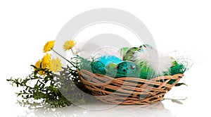 Colored Easter eggs in basket, herbs and flowers isolated.