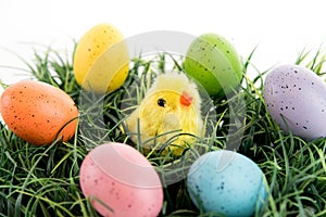 Colored Easter eggs and chick on green grass