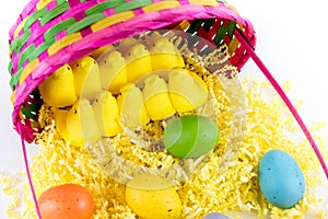 Colored Easter eggs, chicks and basket