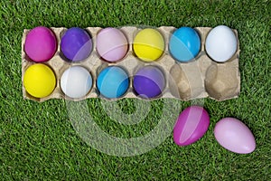 Colored Easter eggs in egg carton on grass