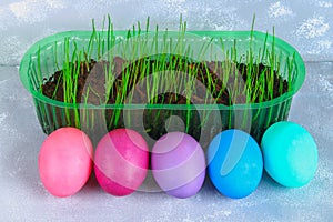 Colored easter eggs with green grass on a gray concrete background.