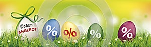 Colored Easter Eggs Osterangebot Spring Header