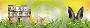 Colored Easter Eggs Ostern Geoeffnet Hare Ears Spring Header