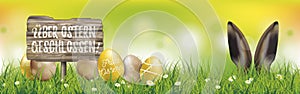 Colored Easter Eggs Ostern Geschlossen Hare Ears Spring Header