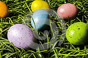 Colored Easter Eggs in Green Grass