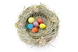 Colored easter quail eggs in grass nest with bumps