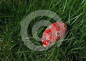 Colored Egg In The Grass