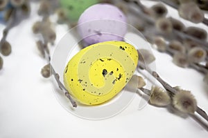 Colored eggs lie next to willow branches on a white background. Among the willow branches lie painted eggs for Easter